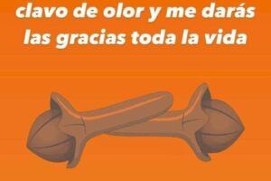 obten todos los beneficios de consumir clavos de olor