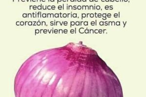 conoce todos los beneficios de la cebolla morada