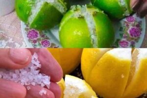 corta un limon en 4 y coloca sal mira donde colocarlo en tu hogar
