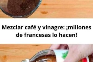 mezcla cafe y vinagre ya en europa todas lo hacen