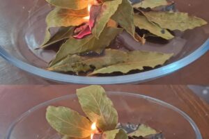 quema hojas de laurel en tu casa y mira lo que pasa en 10 minutos
