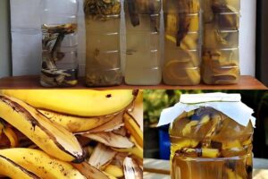 SUMERGIR CÁSCARAS DE PLÁTANO EN 1 BOTELLA DE AGUA: QUÉ PASA UNOS MOMENTOS DESPUÉS