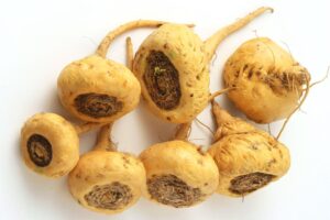 Equilibra tus Hormonas con Esta Planta Milenaria: Maca Andina