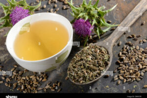 Protege tu Hígado de la Grasa con Esto: Té de Milk Thistle