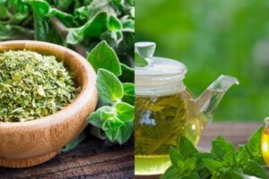 El Antibiótico Natural para el Sistema Urinario: Orégano