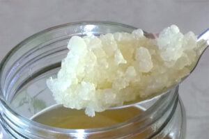 El Secreto para Mantener un Sistema Digestivo Saludable: Probióticos Caseros