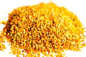 El Tónico Natural para Fortalecer el Sistema Inmunológico: Propóleo
