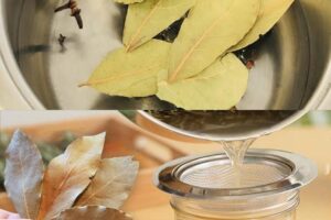 mira los beneficios de hervir hojas de laurel