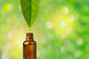 El Antiinflamatorio Natural para las Articulaciones: Extracto de Bosquejo