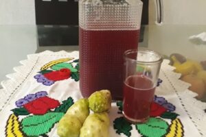 El Secreto para Combatir la Fatiga Crónica: Jugo de Noni Fresco