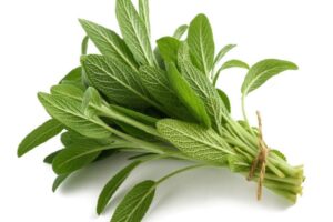 El Antiinflamatorio Natural para las Encías Sensibles: Pasta de Salvia Fresca