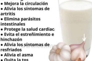 ajo con leche beneficios para la salud y recetas medicinales