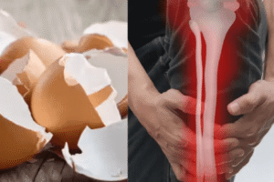 Cáscara de Huevo para Huesos: Fortalece tu Salud Ósea